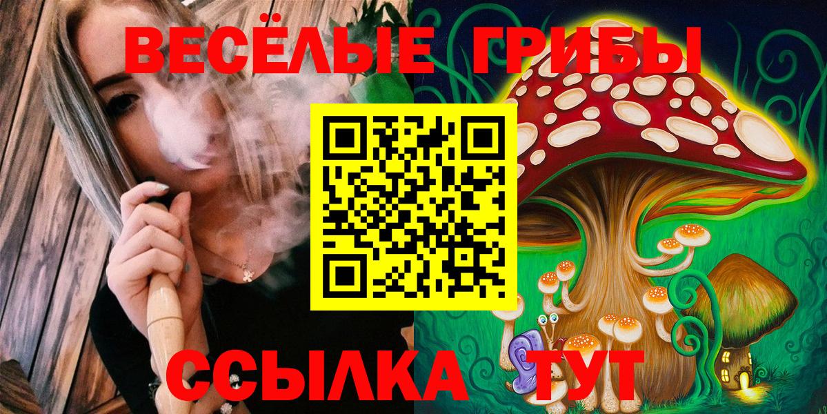 Комсомольск-на-Амуре  Галлюциногенные грибы Psilocybine cubensis  Галлюциногенные грибы Psilocybine cubensis  Вход с VPN 